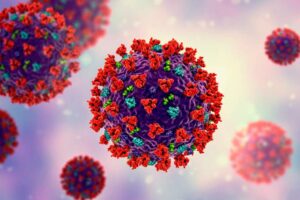 estrutura do novo coronavirus » Variante Ômicron da Covid-19 afeta mais o trato respiratório superior, segundo OMS