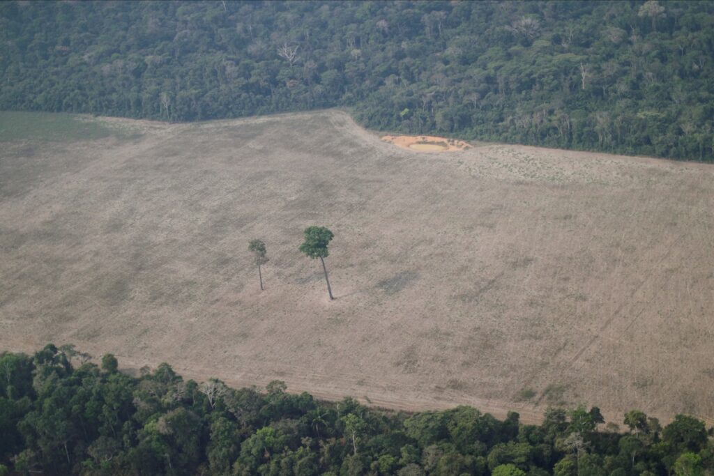 IMG 20210923 WA0031 1024x683 1 » MPF denuncia duas pessoas por invasão de terras públicas e desmatamento ilegal em Lábrea