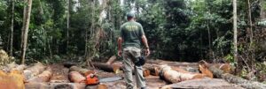 Desmatamento na Amazônia afeta clima no restante do país. Foto: Agência Brasil