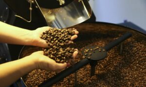 A produção de café no Amazonas subiu de 7 mil sacas para 75.200 sacas, de acordo com a Companhia Nacional de Abastecimento (Conab) em 2021.