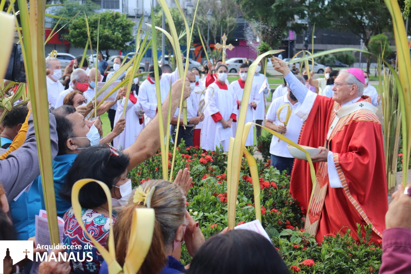 domingo de ramos 