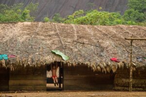 Defensoria apura casos de desnutrição e mortes de crianças Yanomami no Alto Rio Negro