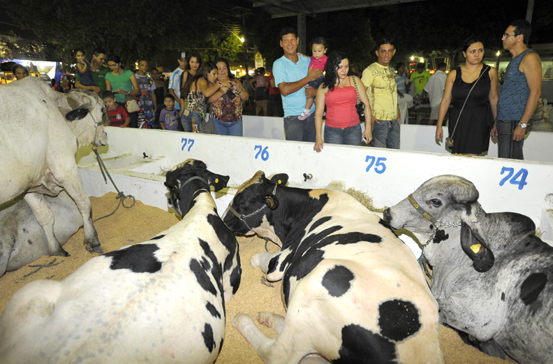 Expoagro ocorrerá entre os dias 28 de agosto e 4 de setembro
