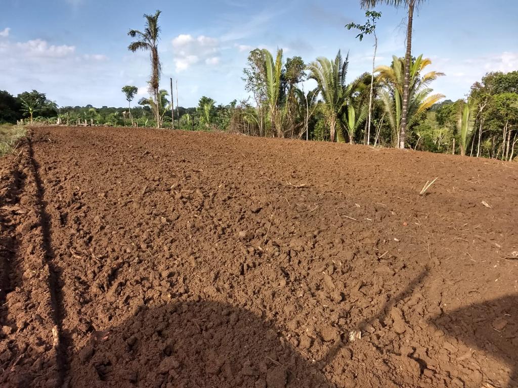 O Promecanização incentiva a produção agrícola em áreas degradadas (Foto Divulgação)