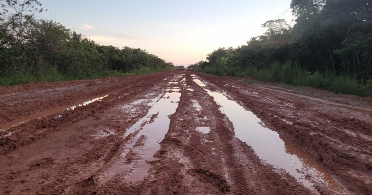 br-319, ardo, tecno, dnit, trecho c, asfaltamento, amazonas, careiro