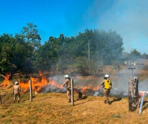 queimadas, incendio-fumaca, amazonas-divulgaca, bombeiros