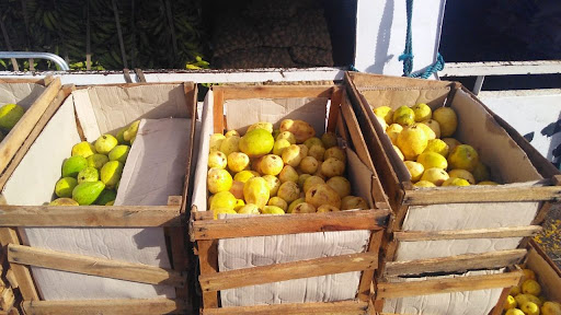 Apreensão frutas em Parintins. Foto: Divulgação/Internet