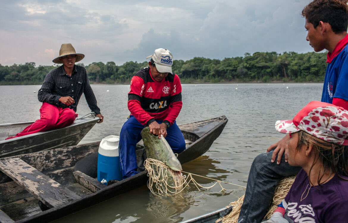 Mulheres inseridas no manejo do pirarucu, no interior do Amazonas. Foto: Ascom/Mamirauá