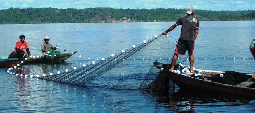 Pesca predatória pode comprometer o meio ambiente. Foto: Divulgação/Internet