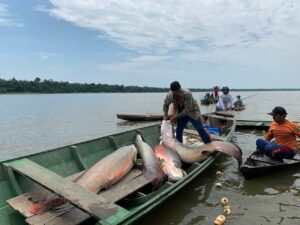 acordo pesca