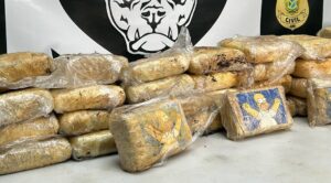 Polícia Civil apreende 55kg de maconha em porto, na zona Leste de Manaus.