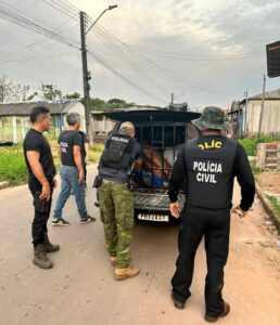 (Foto Divulgação)