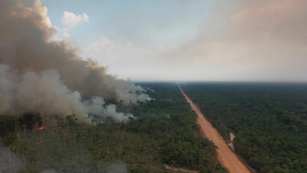 queimadas, foco, incêndio, tce, amazonas, inpe