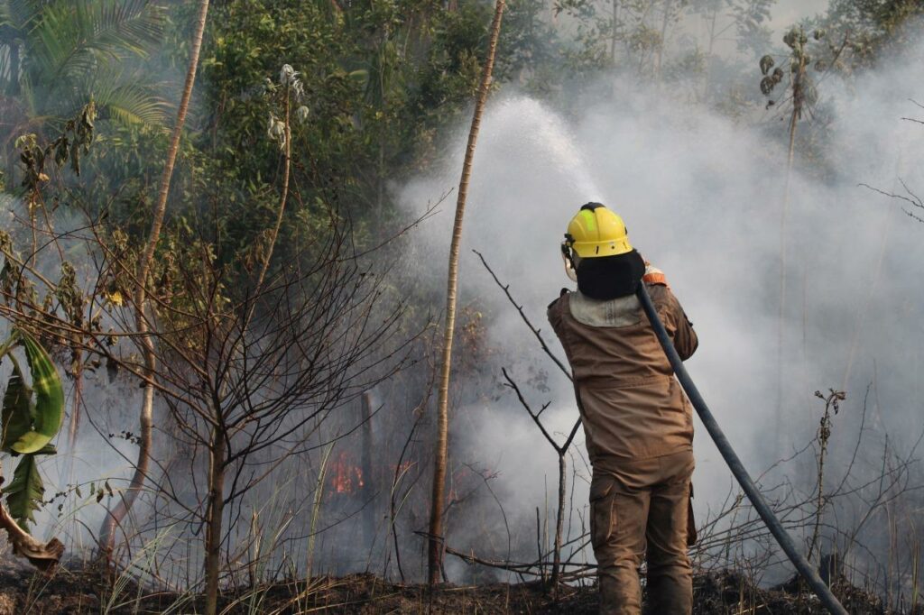 desmatamento, amazonas, queimadas, bombeiros, inpe, imazon