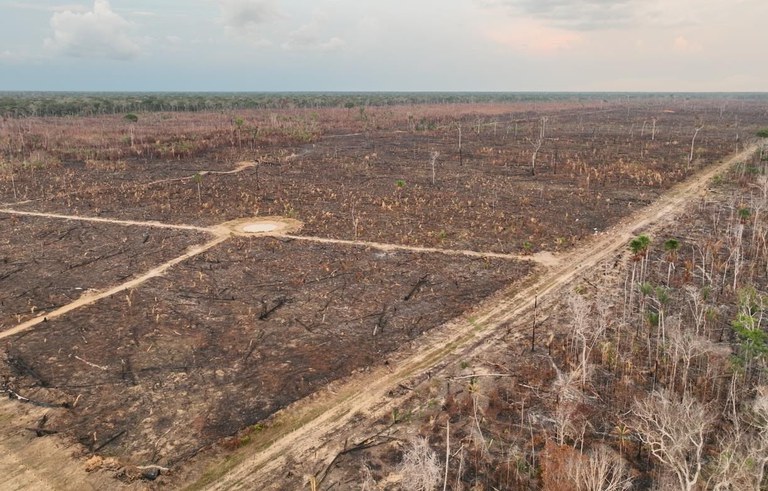 incendiar, floresta, amazonas, justiça, sul, operação, polícia federal, Apuí, Boca do Acre