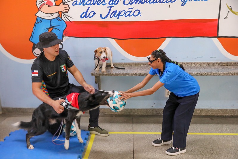 (Foto Divulgação)