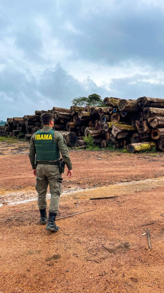 (Foto Divulgação)