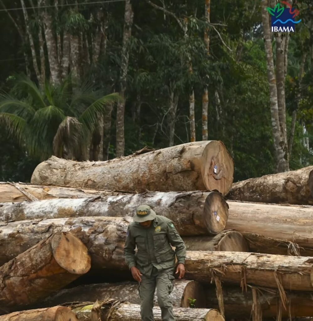 (Foto Divulgação)