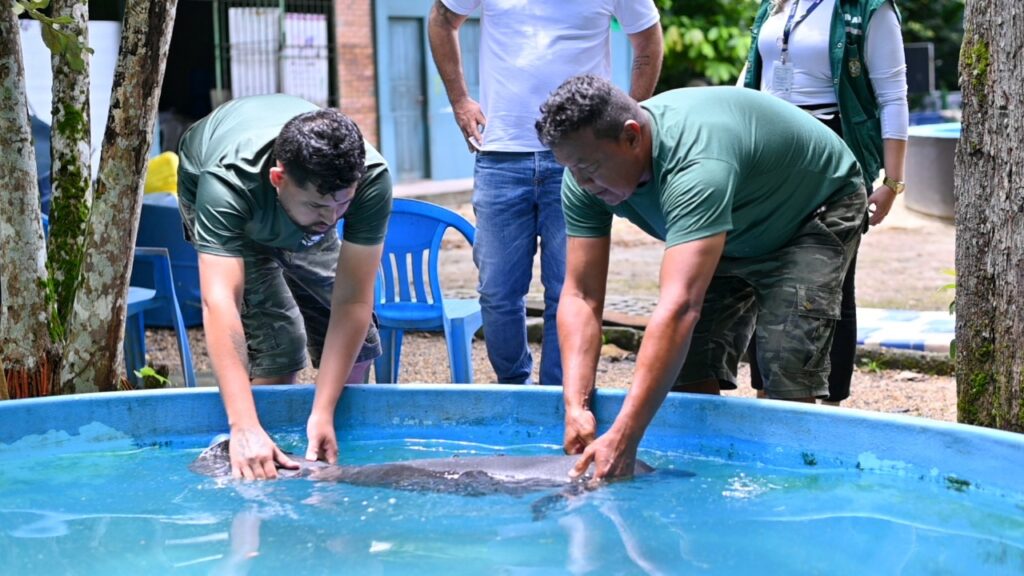 (Foto Divulgação)