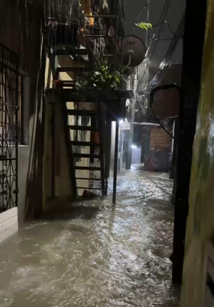 (Imagem Reprodução)