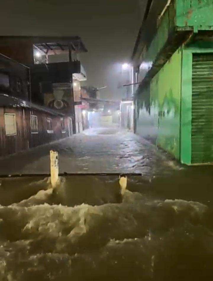 (Imagem Reprodução)