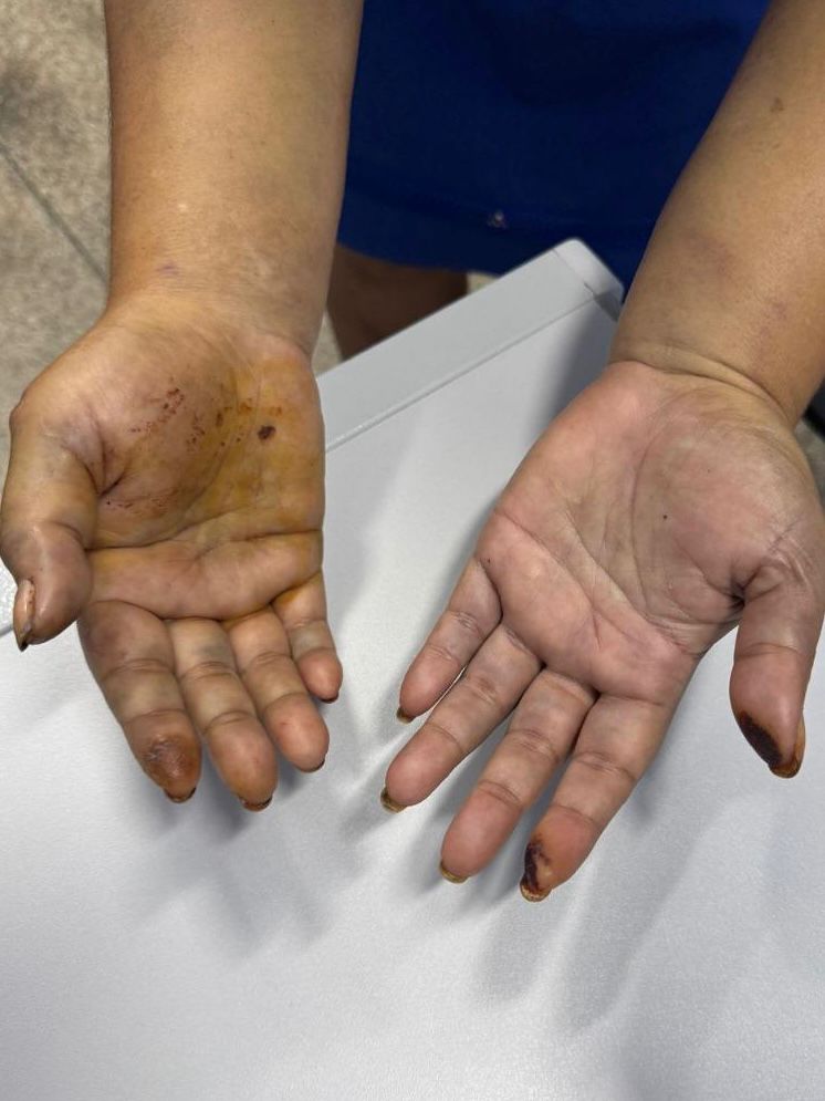 (Foto Divulgação)