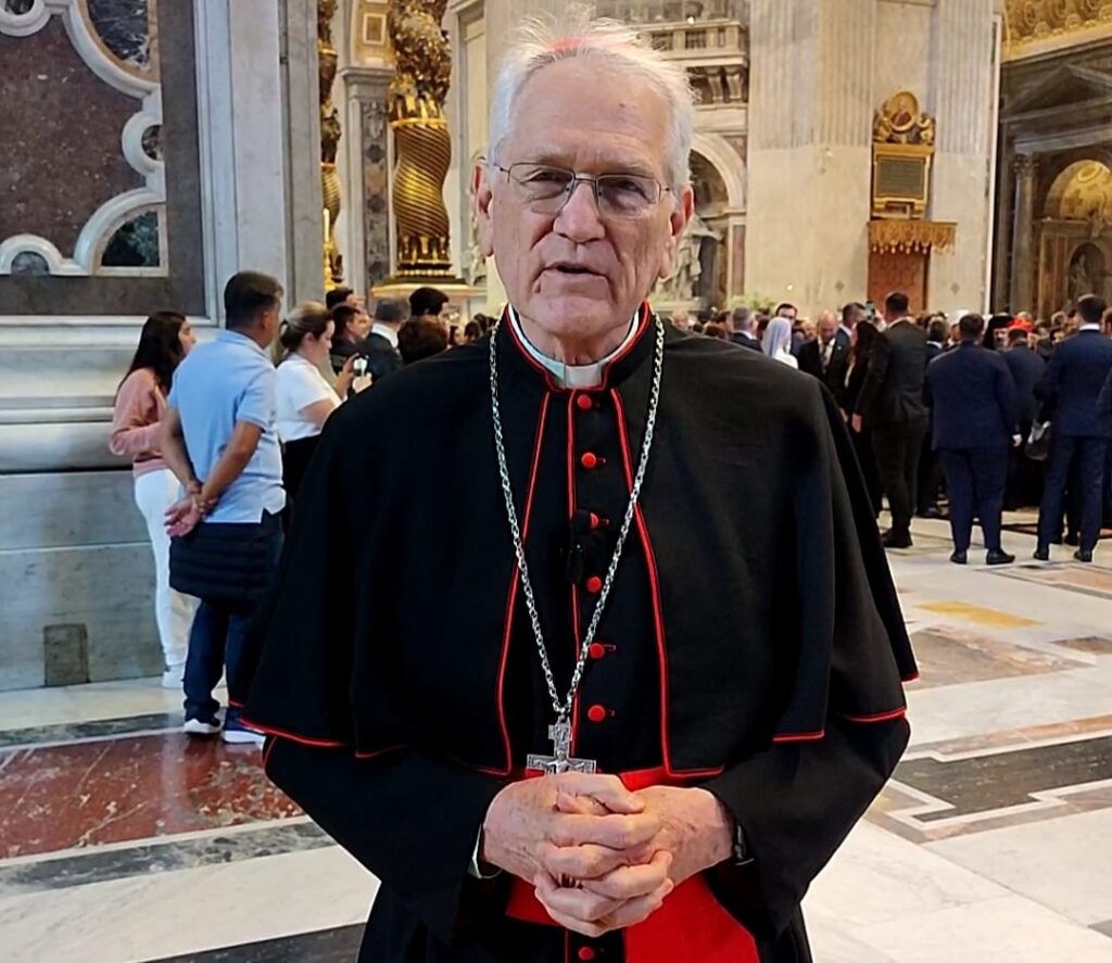 cardeal, leonardo, steiner, dom, roma, vaticano