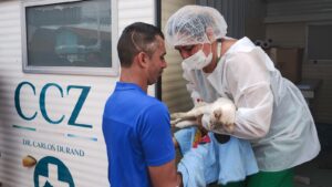 Vagas para castração gratuita de cães e gatos em Manaus serão liberadas nesta segunda-feira.
