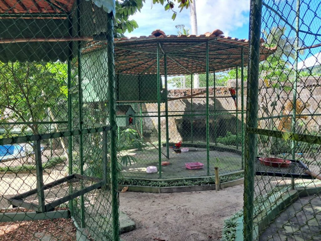 (Foto Divulgação)