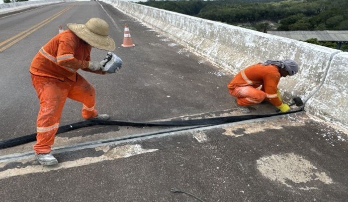 dnit, pontes, amazonas, br-319