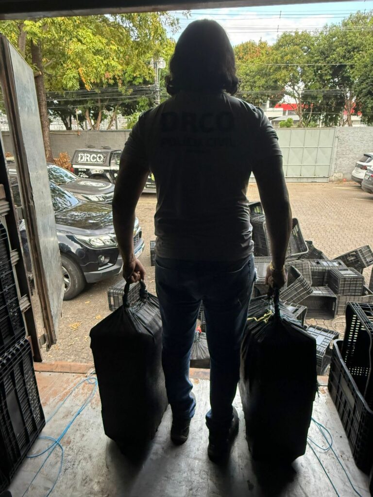 (Foto Divulgação)