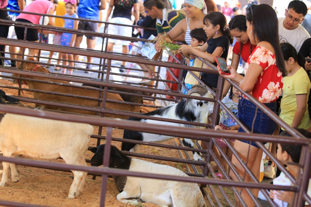 (Foto Divulgação)