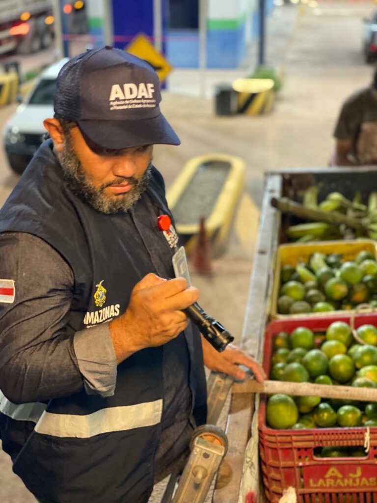 (Foto Divulgação)