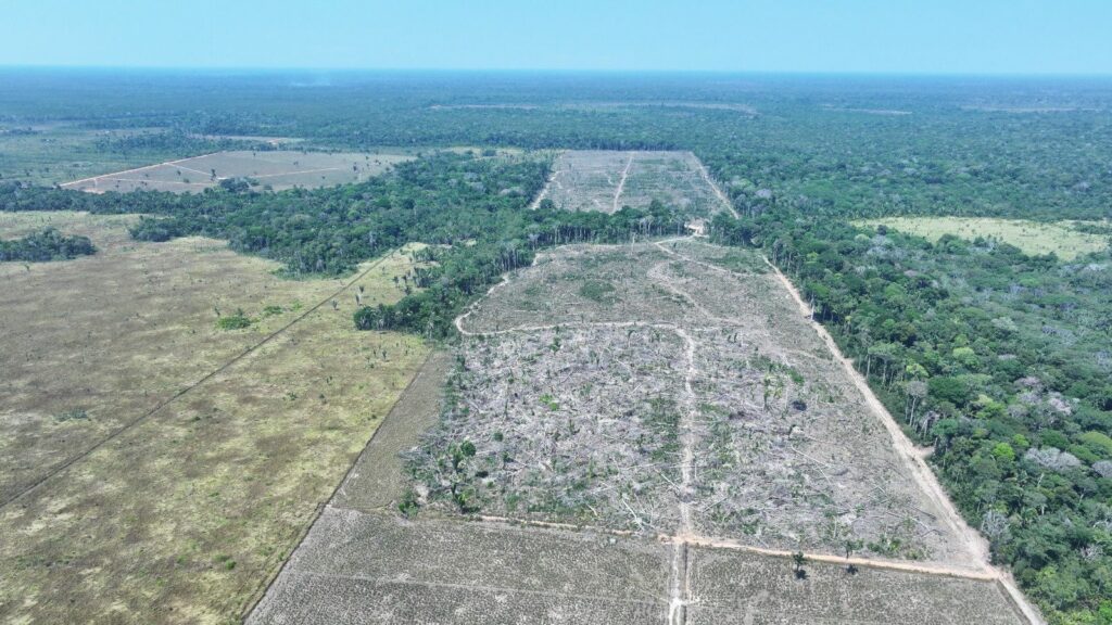 (Foto Divulgação)