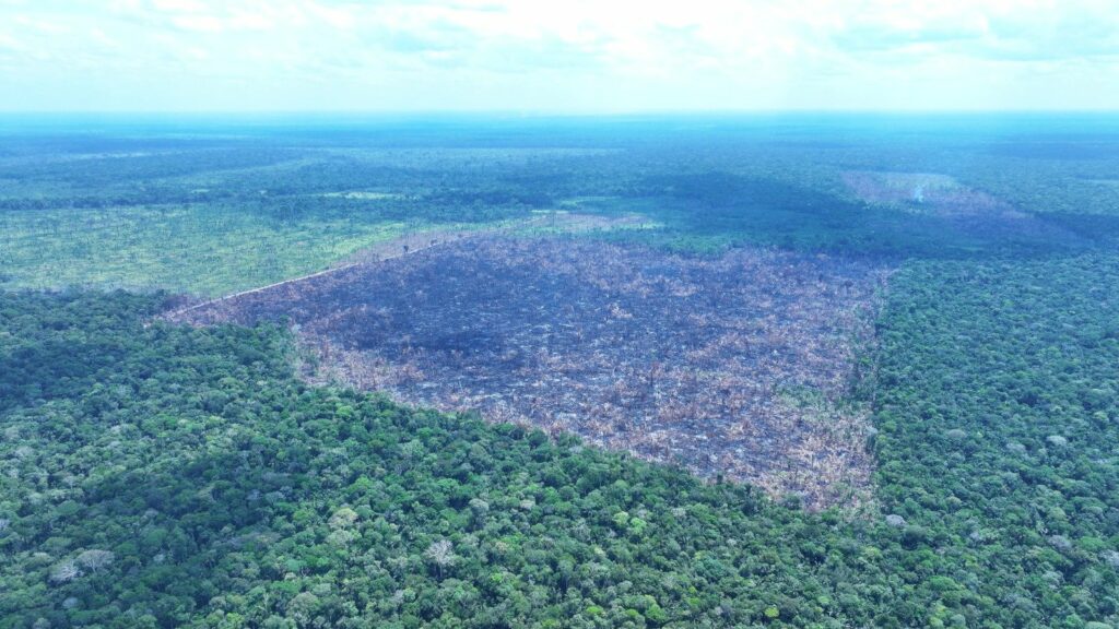 (Foto Divulgação)