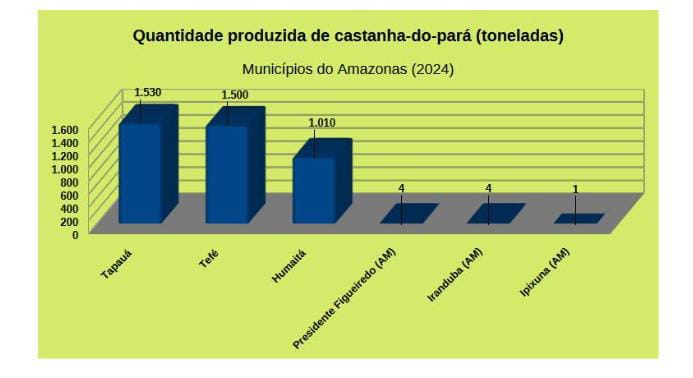 (Imagem Reprodução)