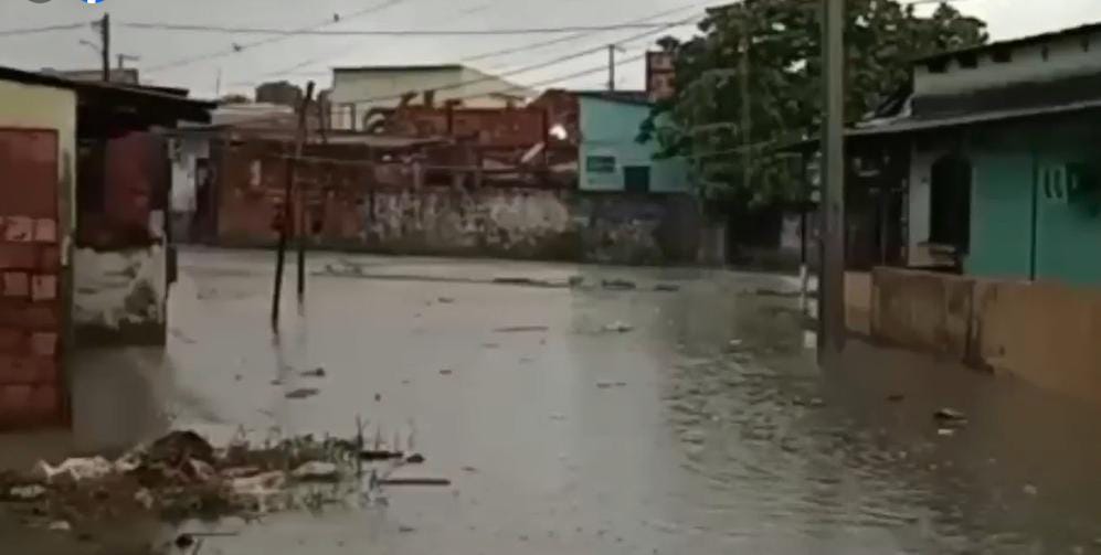(Imagem Reprodução)