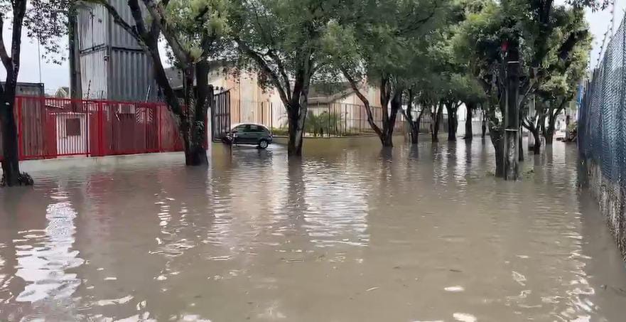 (Imagem Reprodução)