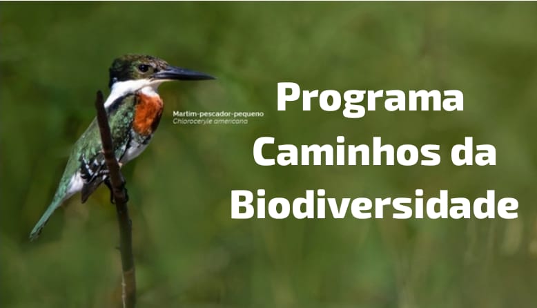 (Imagem Divulgação)