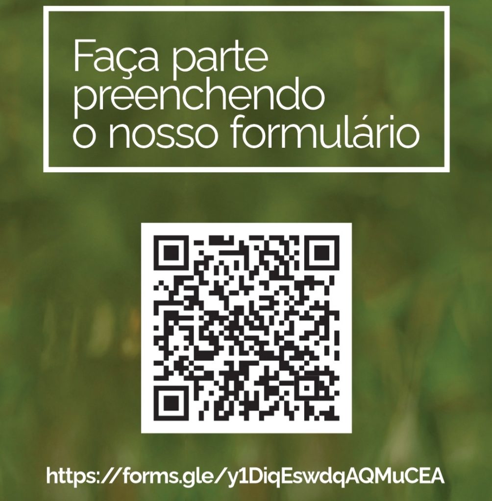 (Imagem Divulgação)