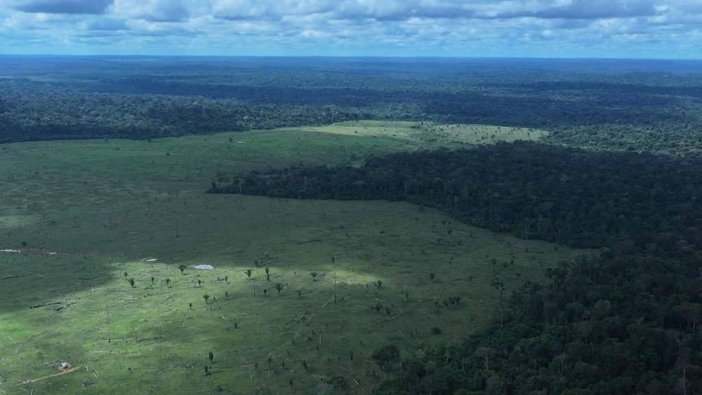 (Foto Divulgação)