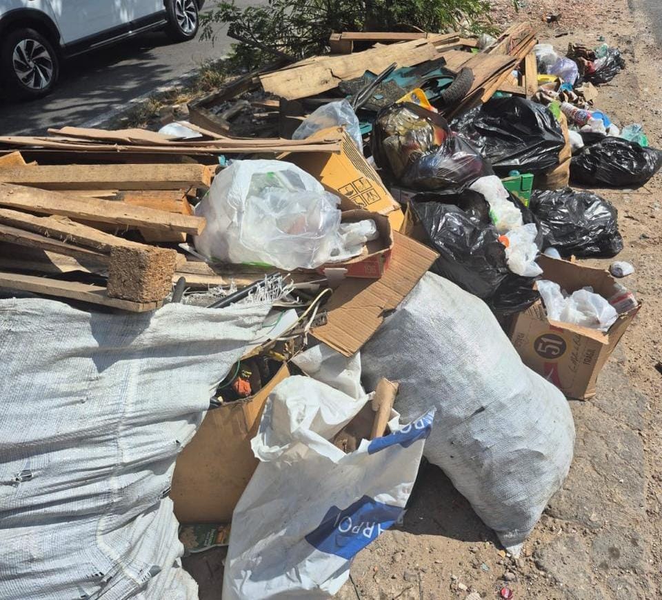 (Foto Divulgação)