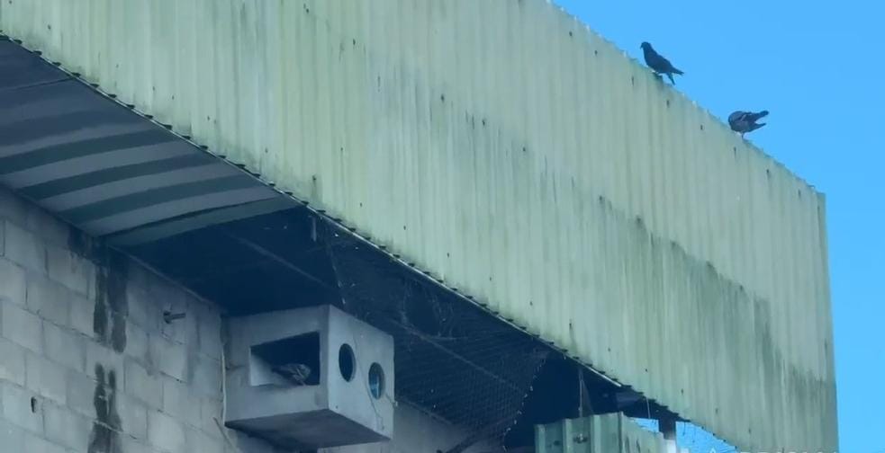 (Imagem Divulgação)