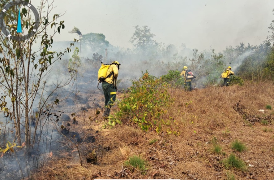 (Foto: Divulgação)